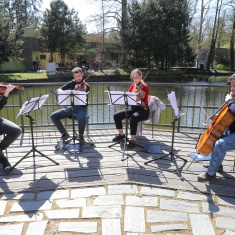 koncert-komornih-sastava-zagrebacke-filharmonije-u-zooloskom-vrtu-na-labudem-otoku-gallery_image-12-1618215093.52.JPG