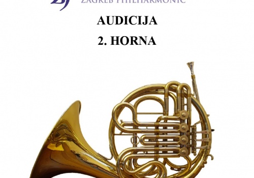 Audicija- 2. ROG