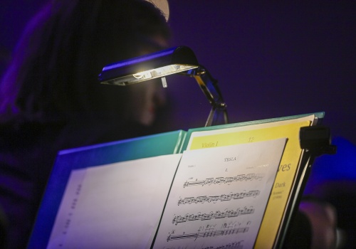 AUDITION - PROGRAM AND PARTS