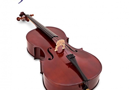 Violončelo audicija